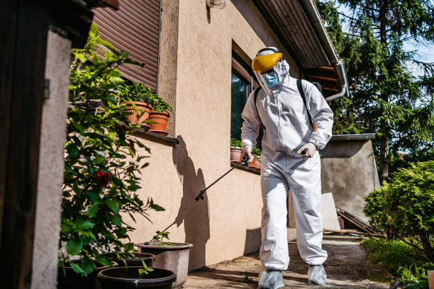 Best Local Pest Control Services  in Ford City, PA