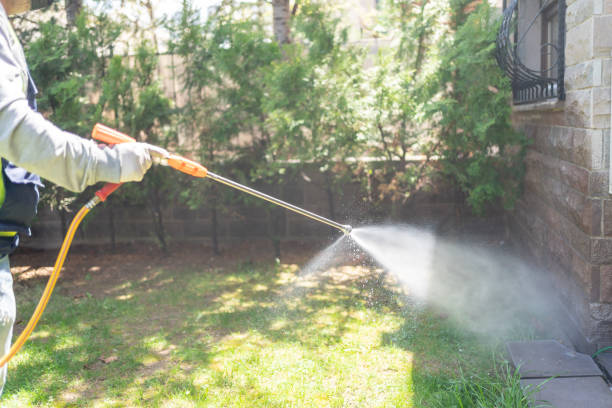 Best Best Pest Control Companies  in Ford City, PA