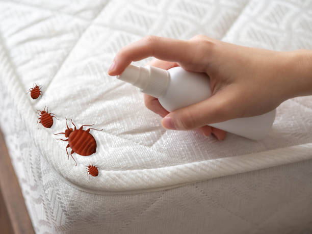 Best Pest Prevention Services  in Ford City, PA