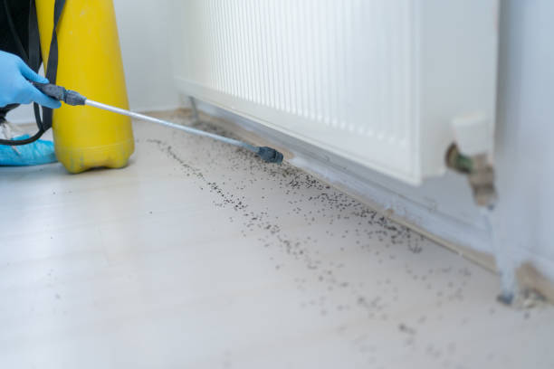 Best Residential Pest Control  in Ford City, PA