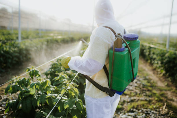 Pest Control for Restaurants in Ford City, PA